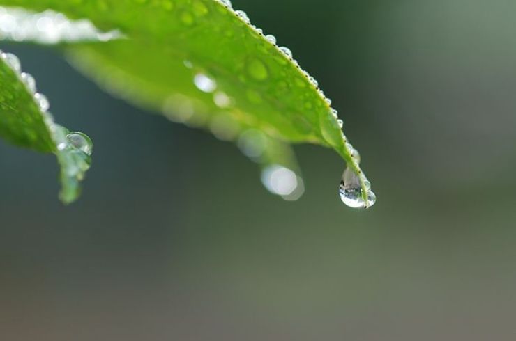 霊障療法																																																	