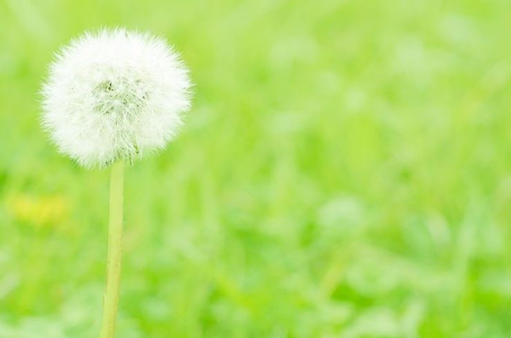 細菌・ウイルス意識変換療法																																													