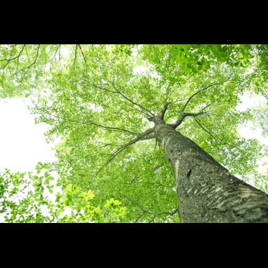 能力開発を行う当クリニックは前世療法を行っております