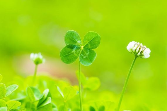 波動医学の理論