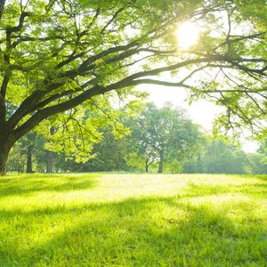 当クリニックでは能力開発によって健康な体を実現します