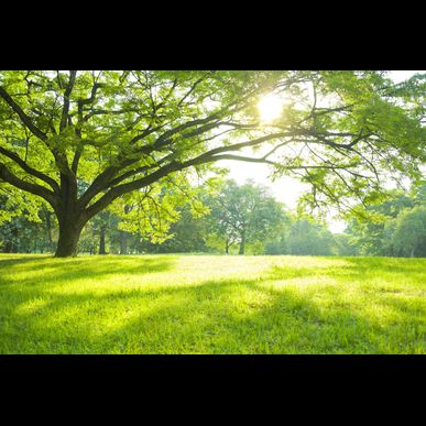 当クリニックでは能力開発によって健康な体を実現します