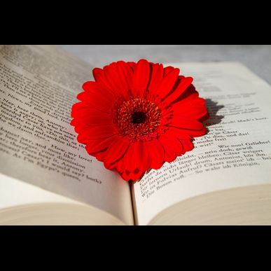 魂クリ放送局　動画配信