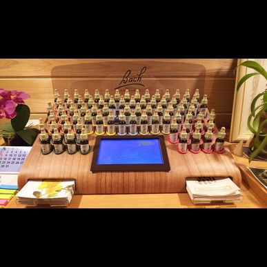 フラワーエッセンスレメディは心と感情を癒してくれます